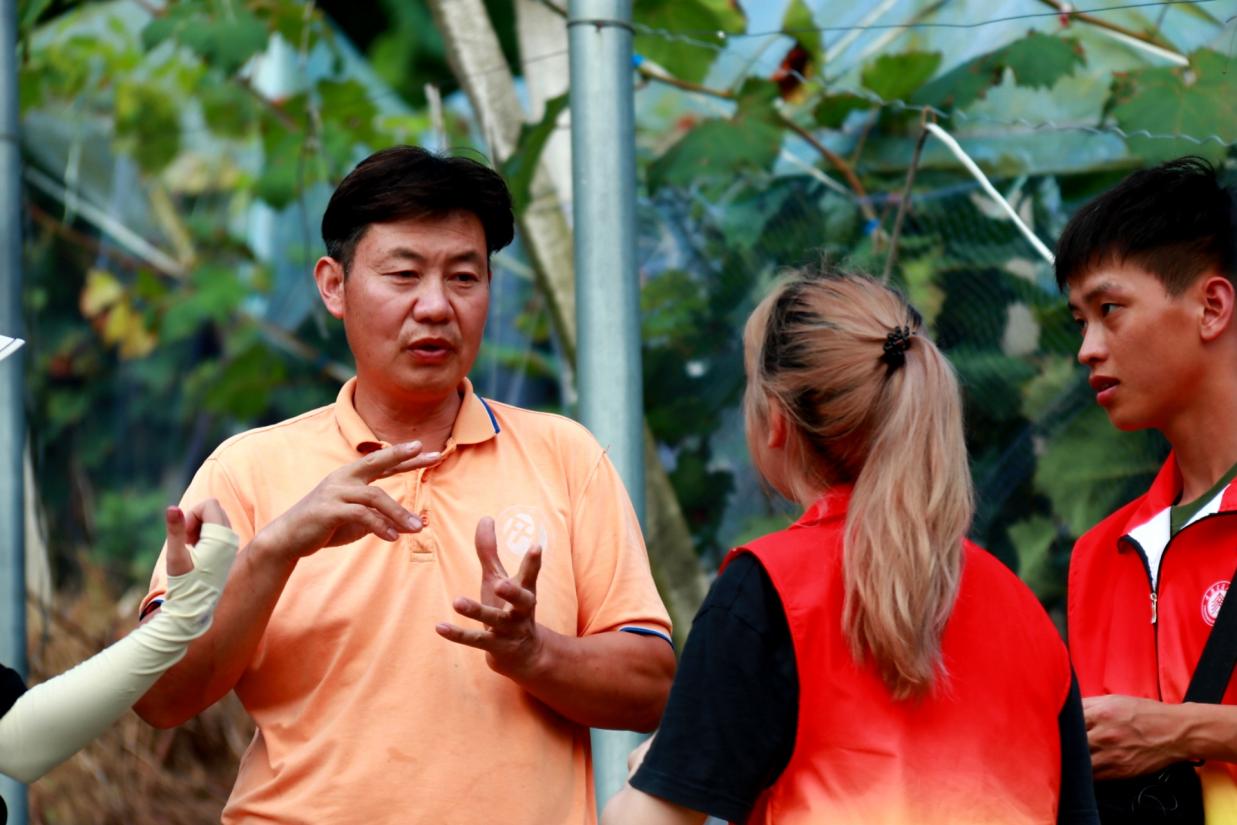 说明: 葡萄园对话