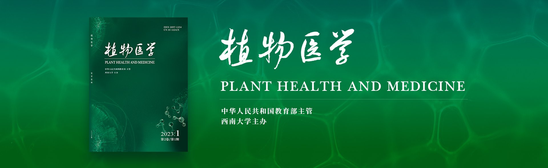 关于2026年度新闻记者证核验人员名